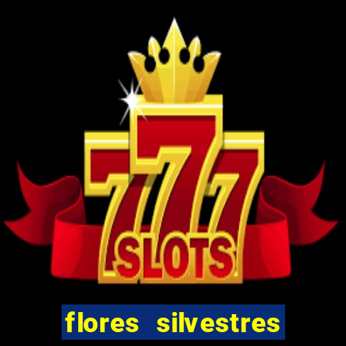 flores silvestres desbravadores desbravadores 25 flores silvestres e seus nomes